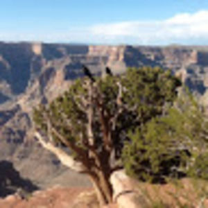 Meet your Posher, Jocelyn